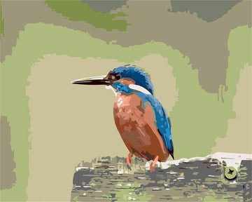 Cute Hummingbird