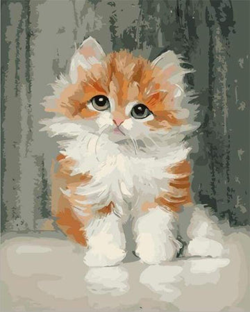 Cute Little Cat