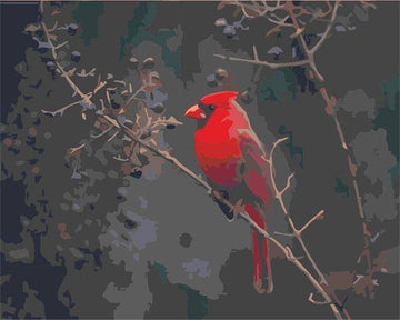 Cute Red Bird