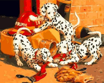 Dalmatians playing