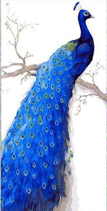 Deep Blue Peacock