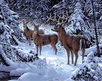 Deer in the Snow
