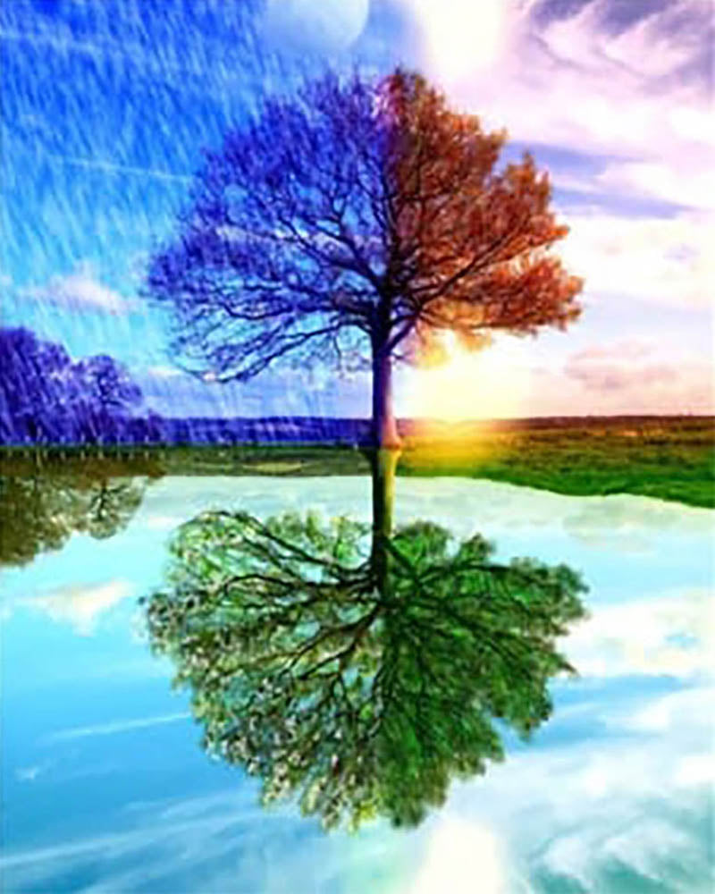 4 Seasons Tree
