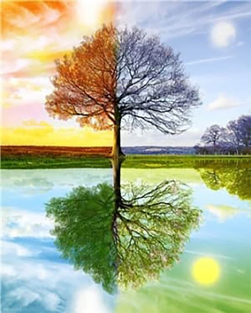 4 Seasons Tree 2