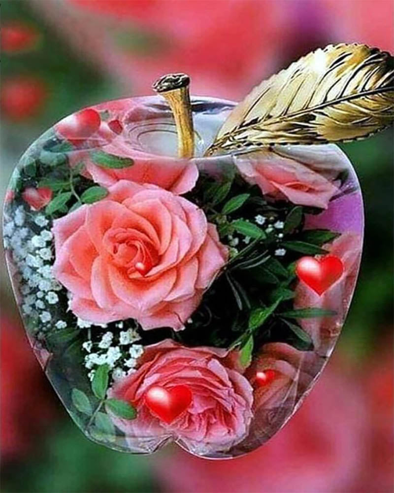 Apple and Rose