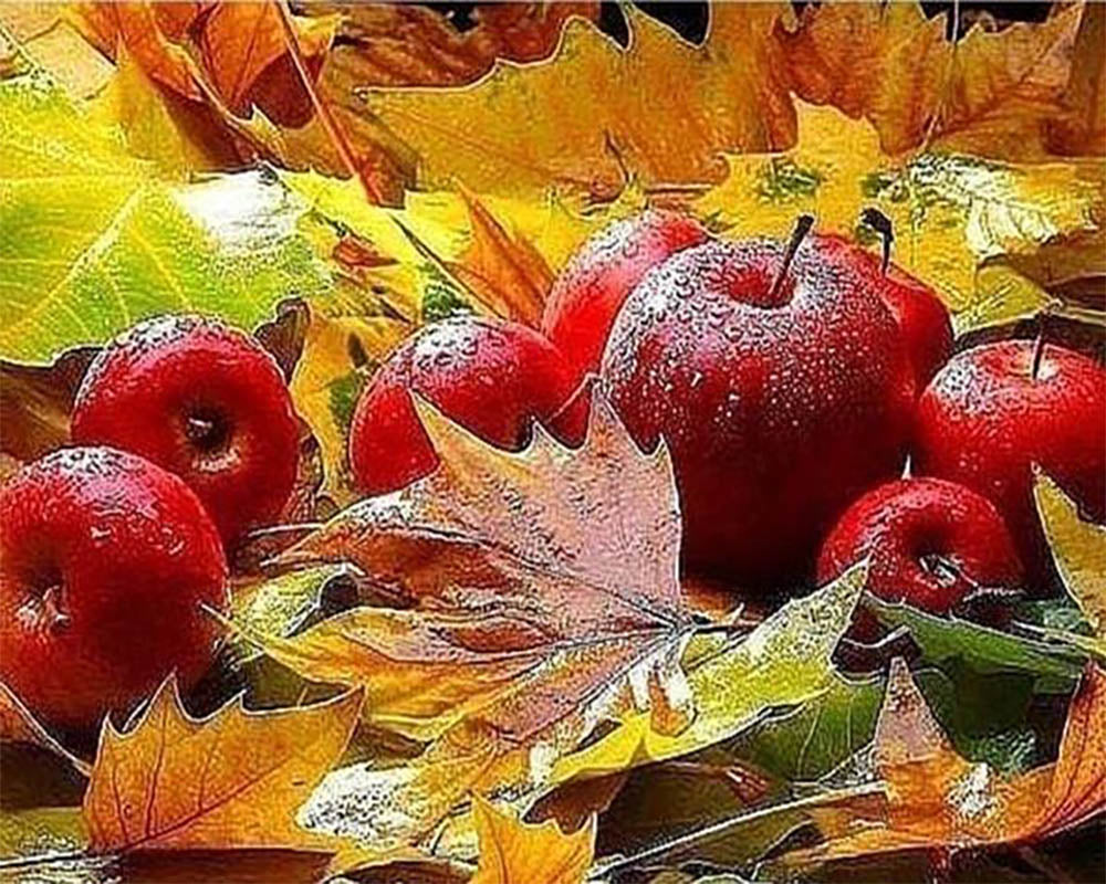 Apples in Autumn