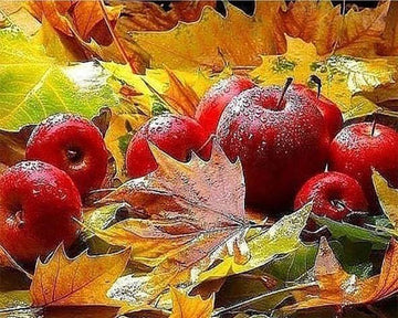 Apples in Autumn