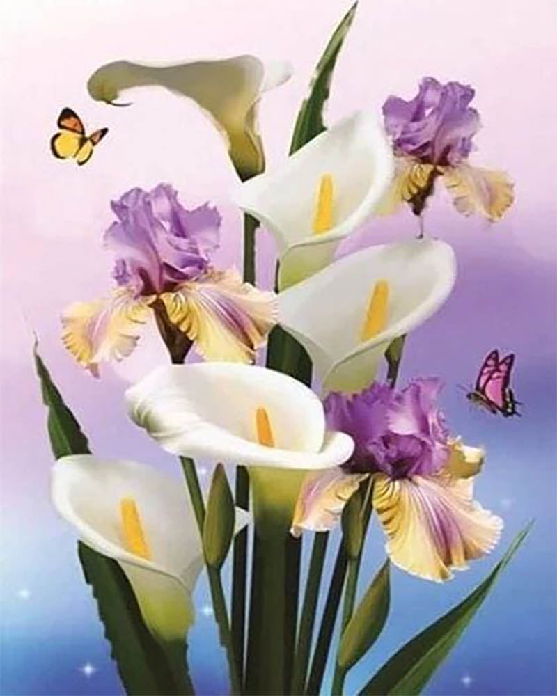 Aromas and Iris