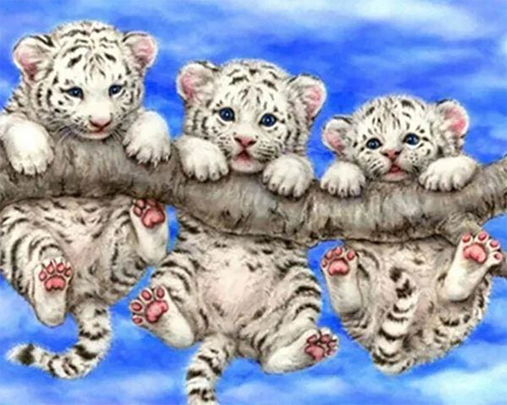 Babies Tigers mischievous