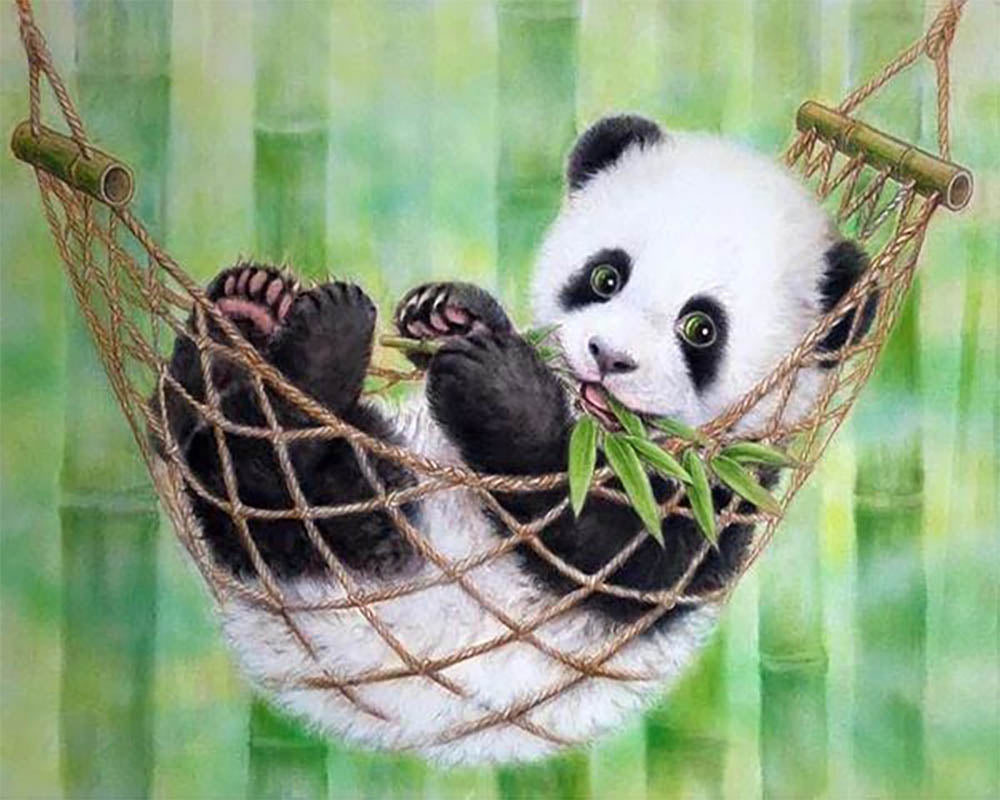 Baby Panda in its hammock