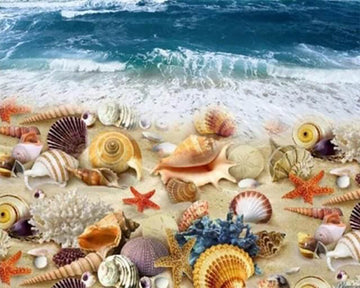 Beach and Shellfish
