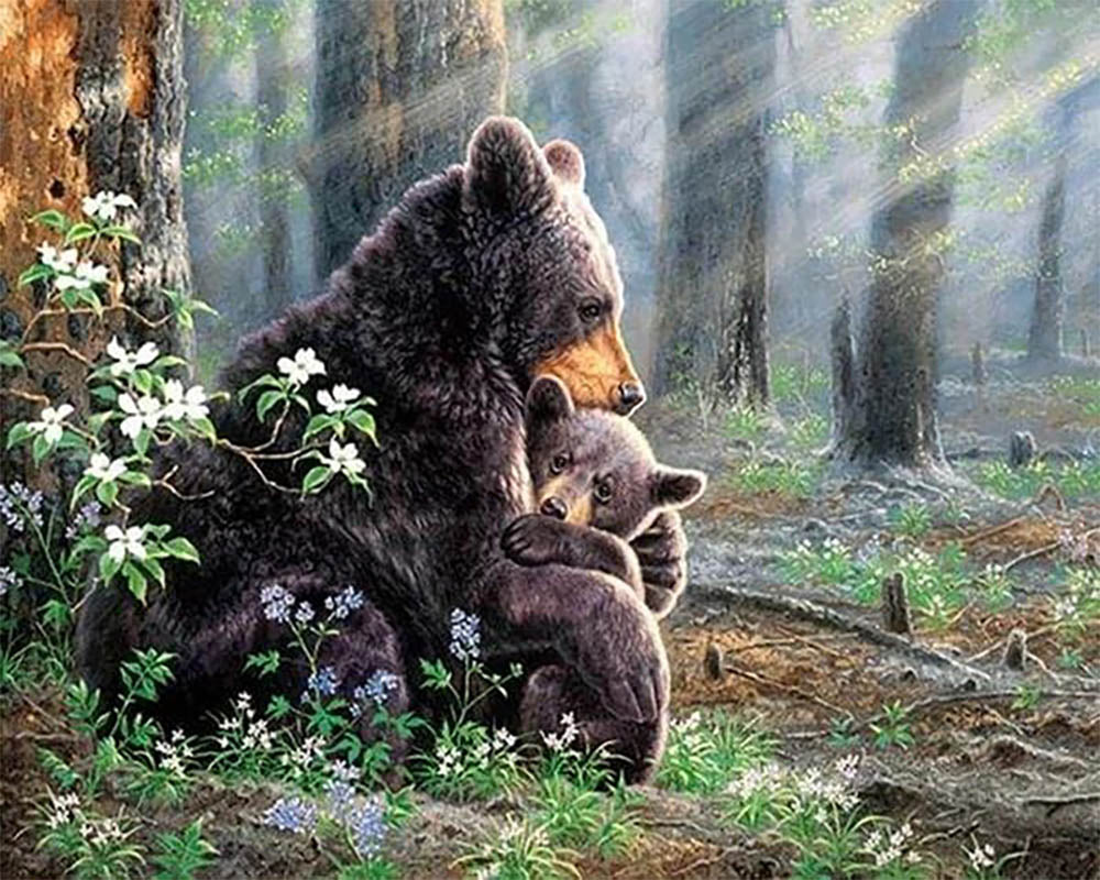 Bear Family