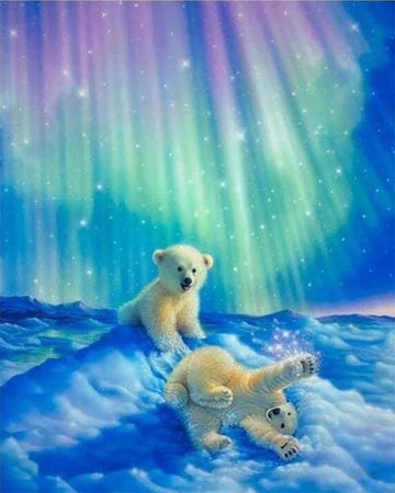 Bears and Northern Lights