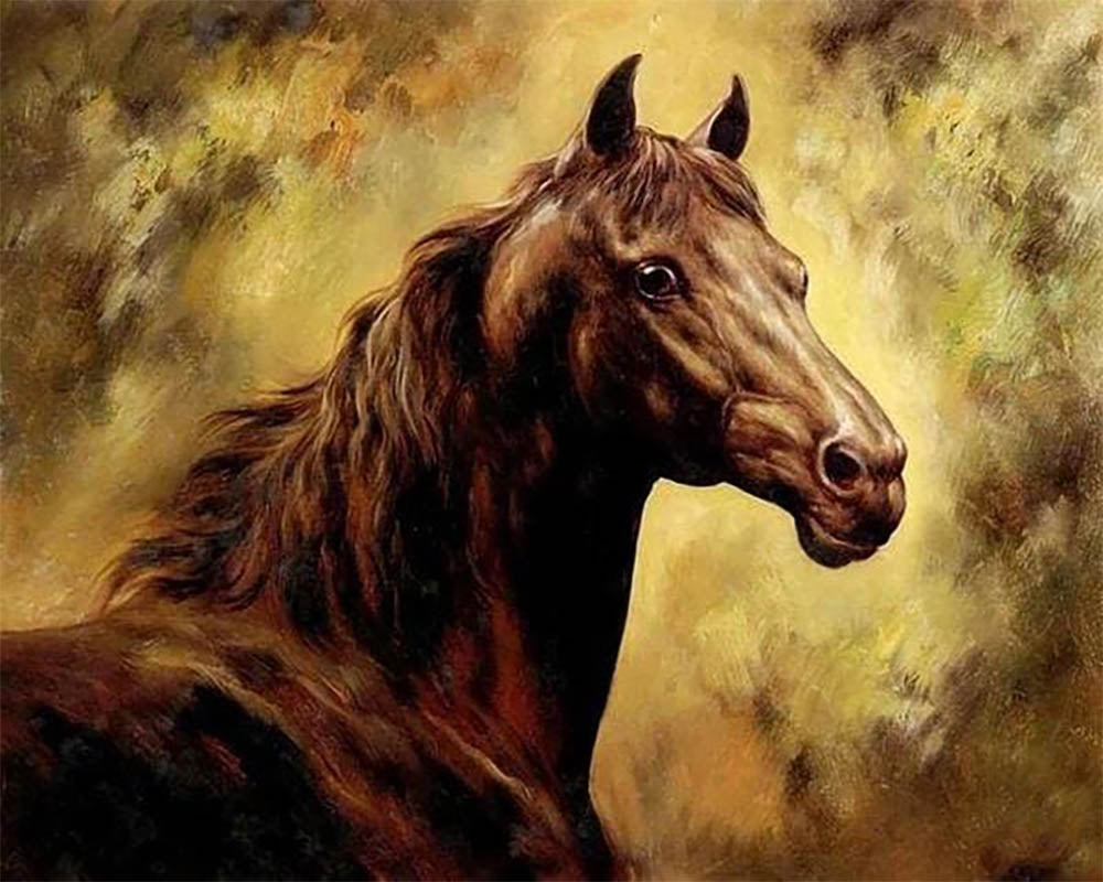 Beautiful Horse