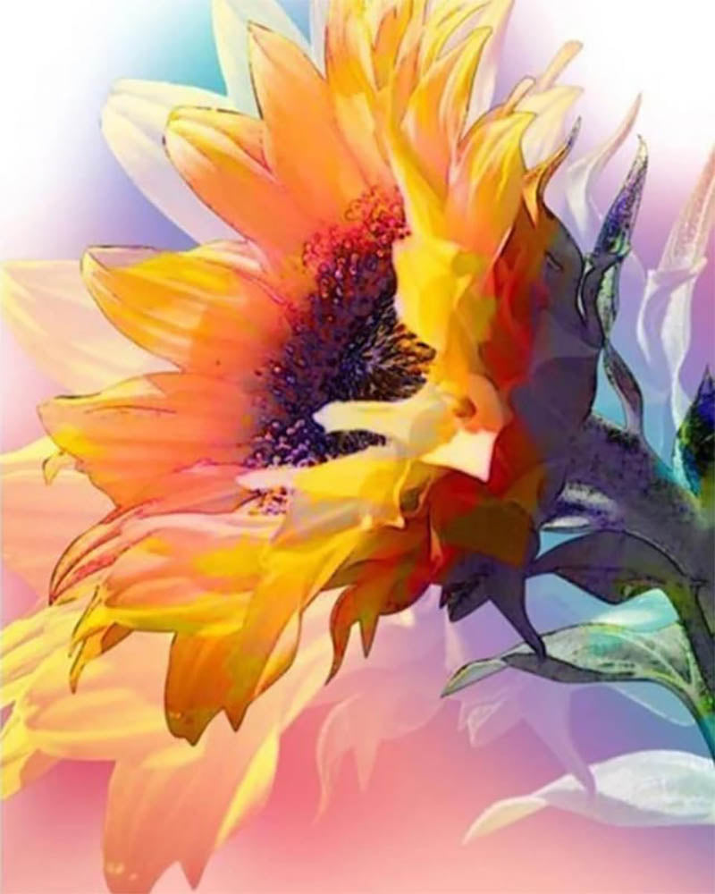 Beautiful Sunflower