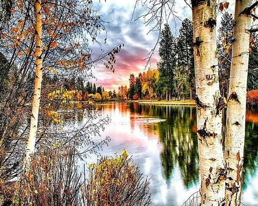Birch trees and Lake