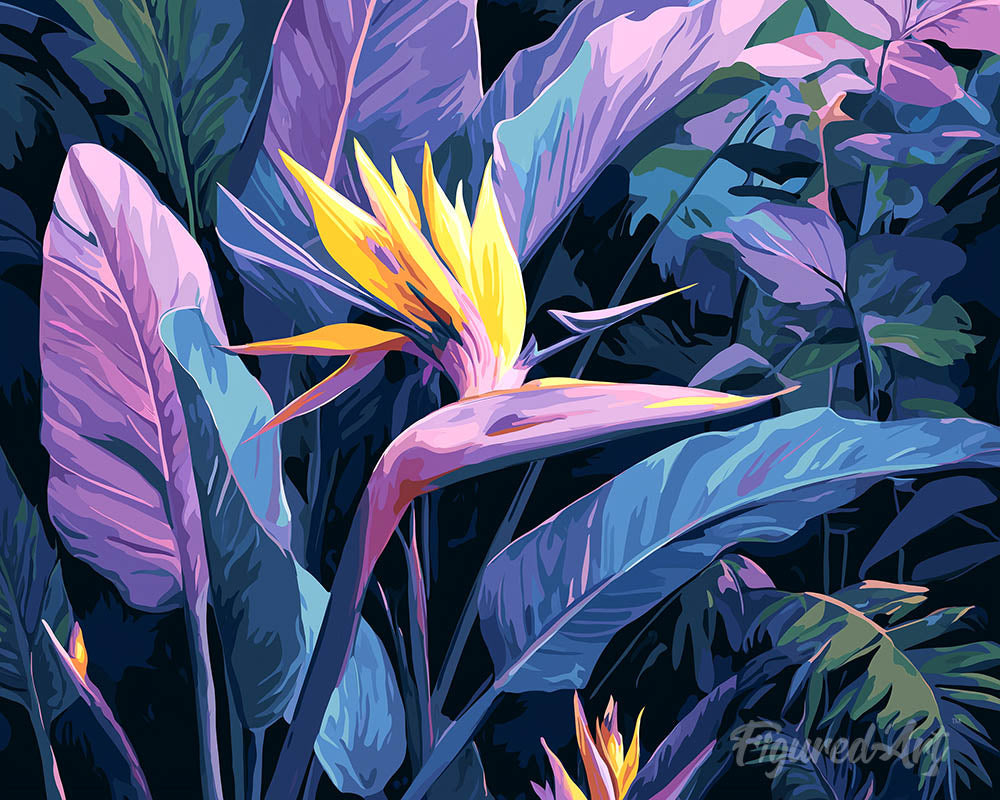 Bird of Paradise