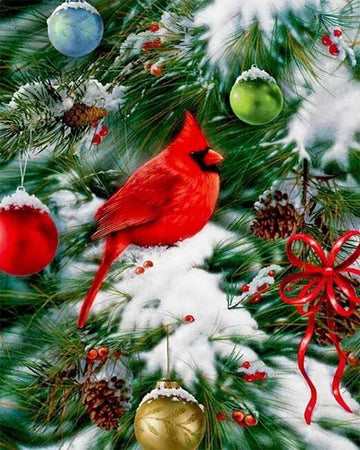 Bird on Christmas Tree