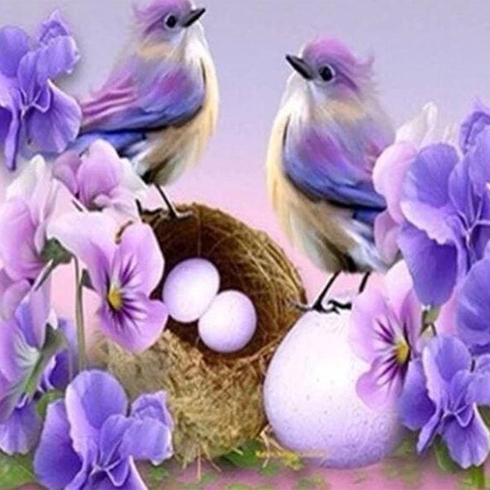 Birds and Eggs