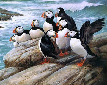 Birds in seaside