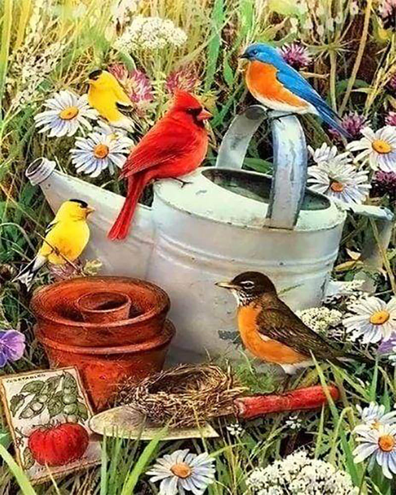Birds in the Garden