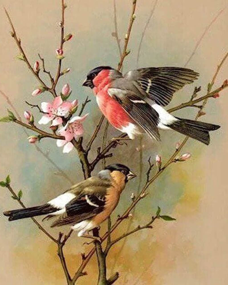 Birds on Branch