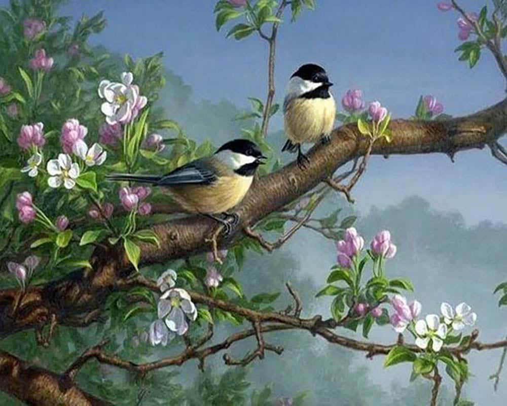 Birds on a flowering branch