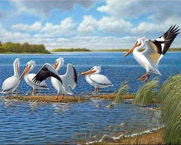 Birds on the Lake