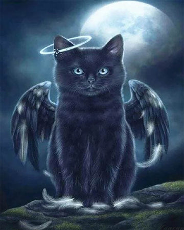 Black Cat Angel