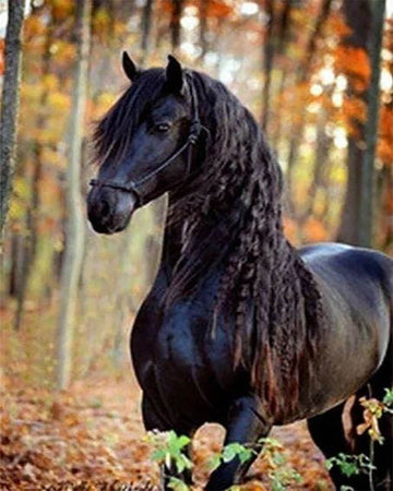 Black Mare
