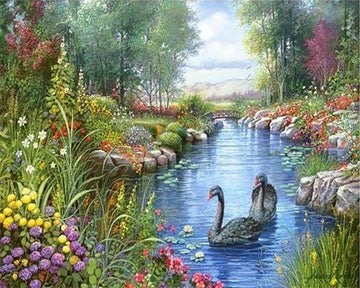 Black Swans