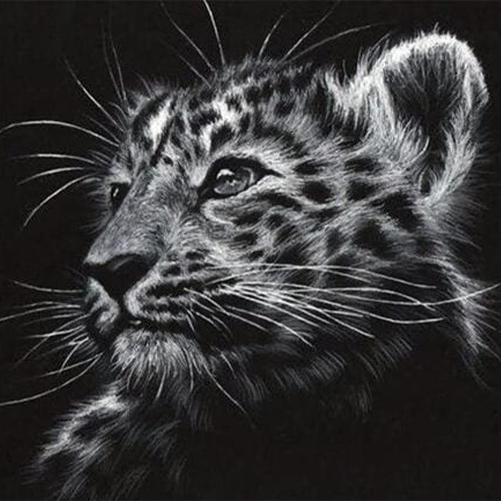 Black and white Leopard