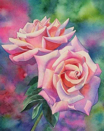 Blooming roses