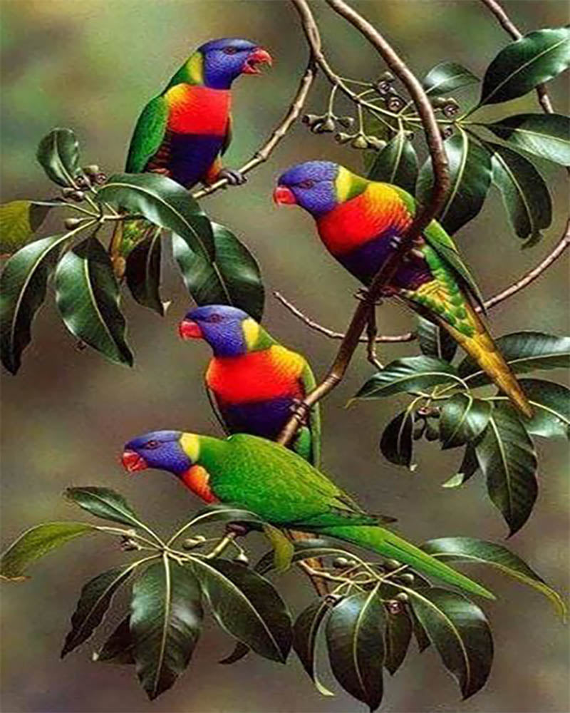 Blue-headed Parrots on Branch