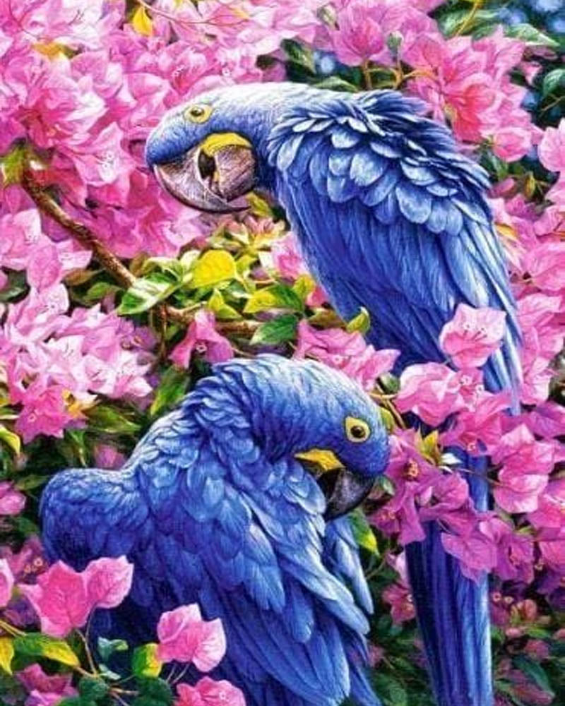 Blue Parrots