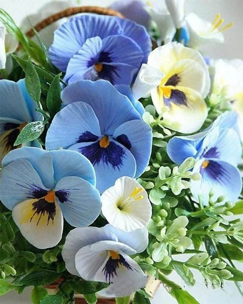 Blue Thoughts