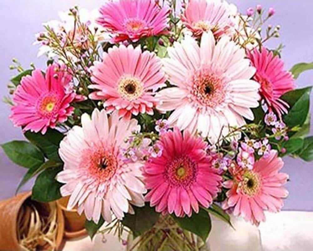 Bouquet of Daisies