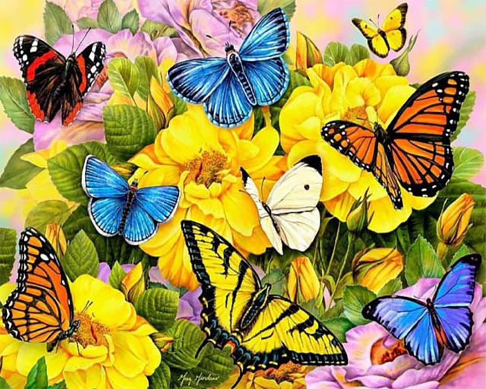 Butterflies and Yellow Flowers