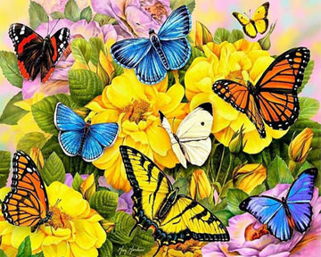 Butterflies and Yellow Flowers