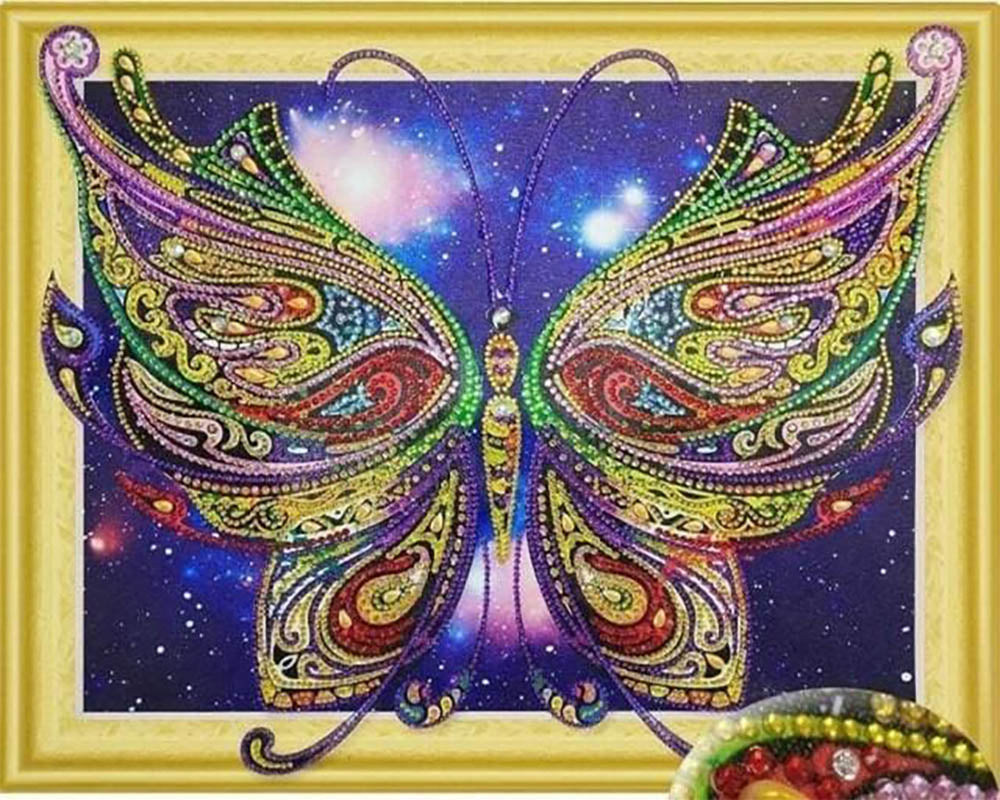 Butterfly Kashmir