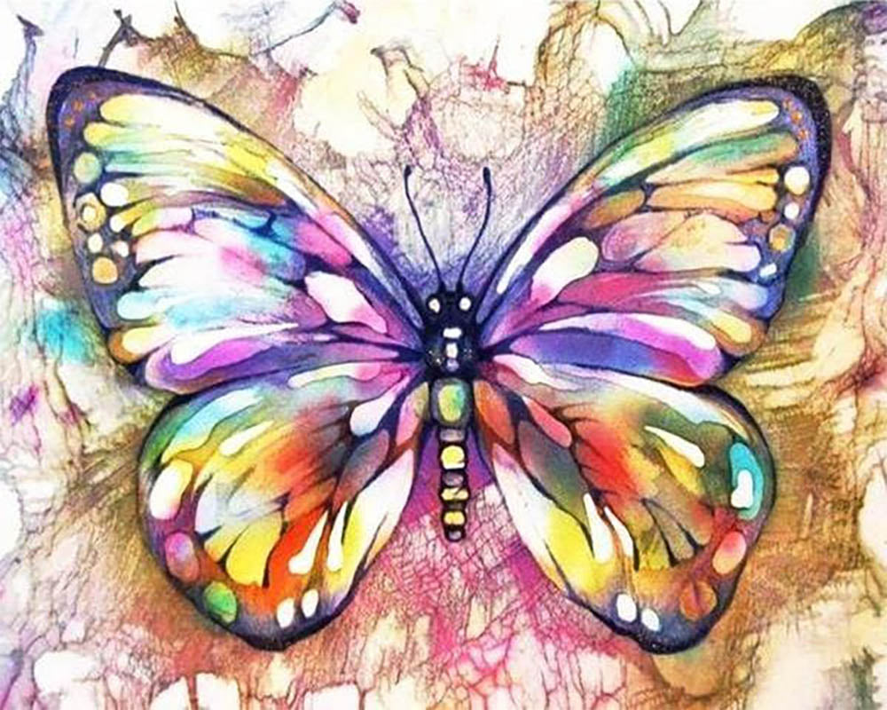 Butterfly and Colors