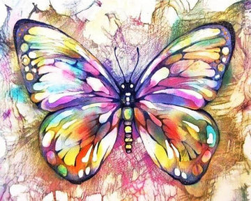 Butterfly and Colors