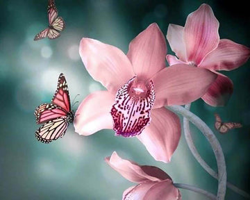 Butterfly and Orchid