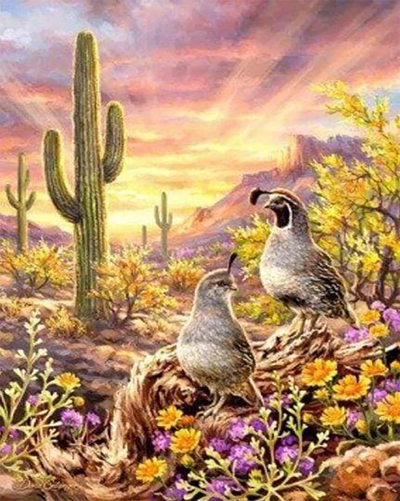 Cactus and Animals
