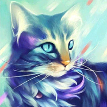 Cat Design