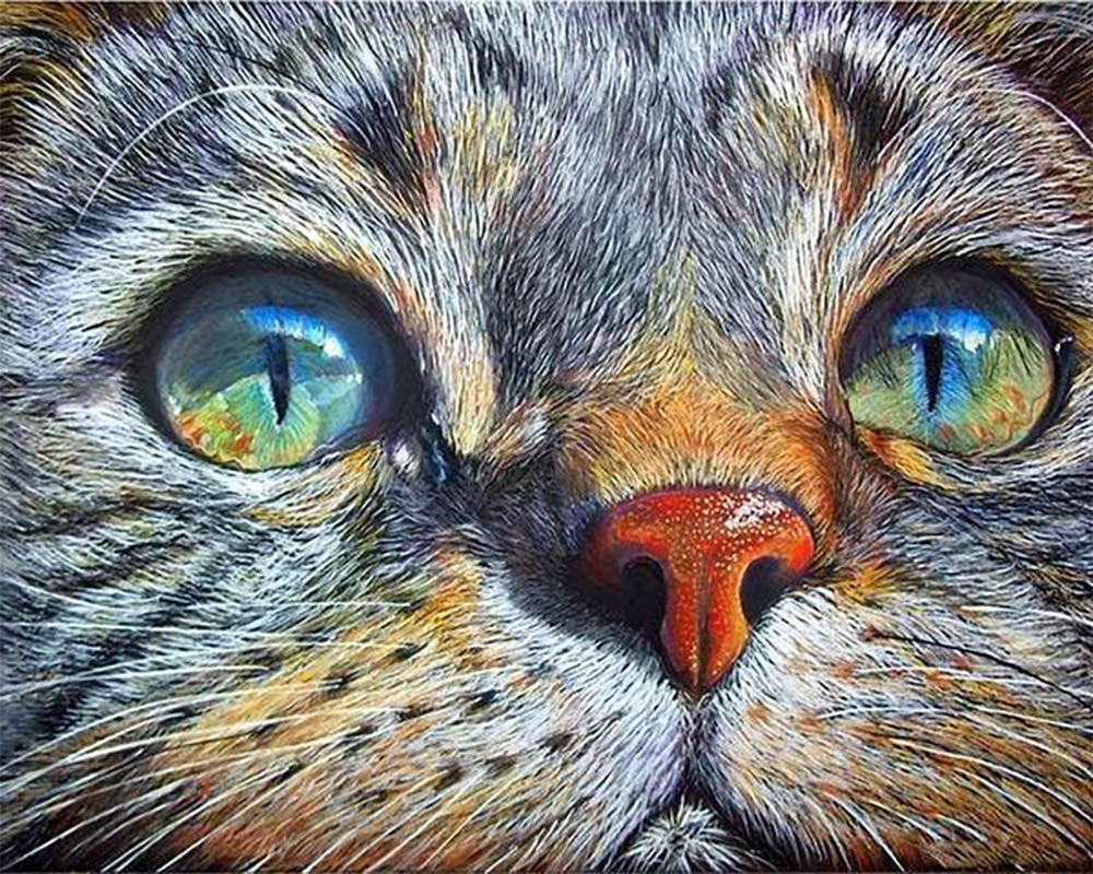 Cat Face