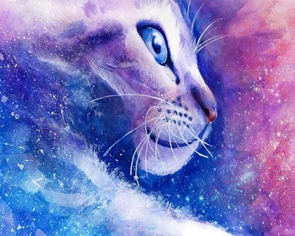 Cat Fantasy