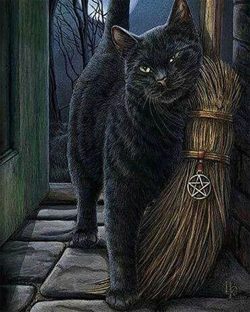 Cat Lawless