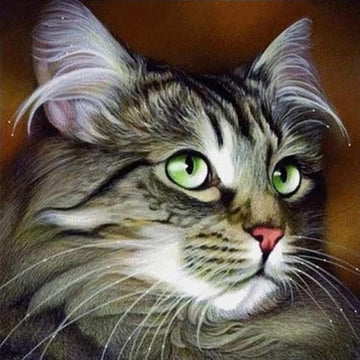 Cat Portrait