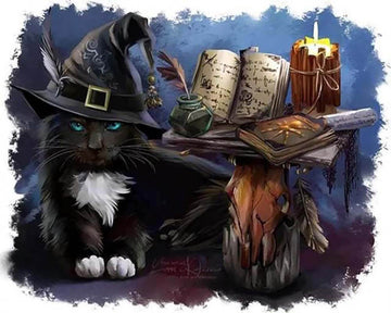 Cat Sorcerer